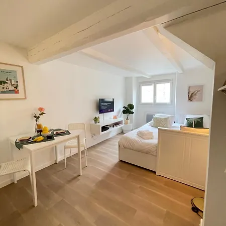 A Ne Pas Manquer Plein Coeur D Apartment *
