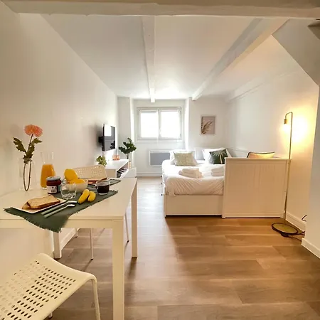 Apartment A Ne Pas Manquer Plein Coeur D